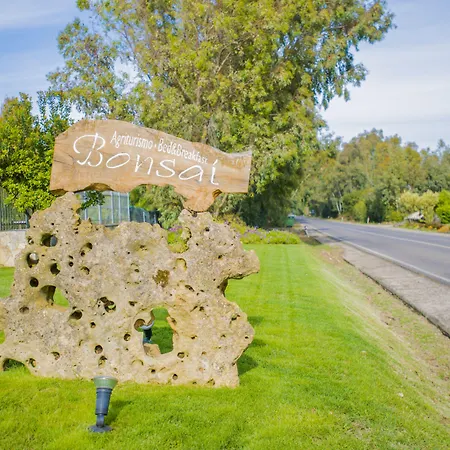 Couette-café Bonsai Alghero Santa Maria la Palma